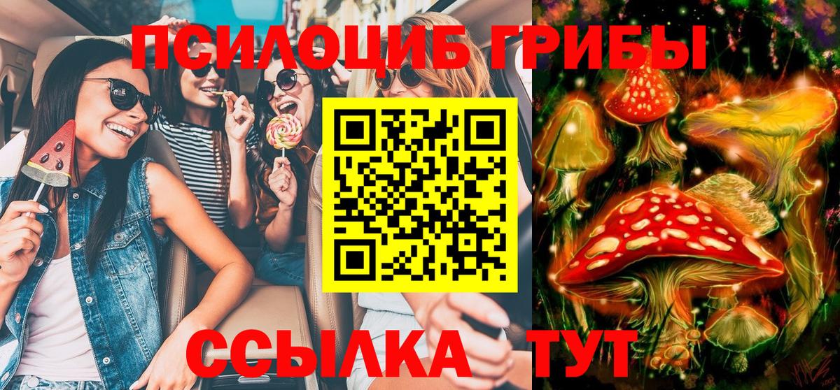 Пятигорск  Галлюциногенные грибы Psilocybine cubensis  Вход с VPN  Галлюциногенные грибы Magic Shrooms 