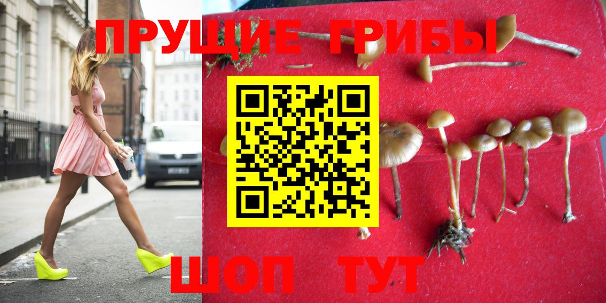 Галлюциногенные грибы ЛСД Пятигорск