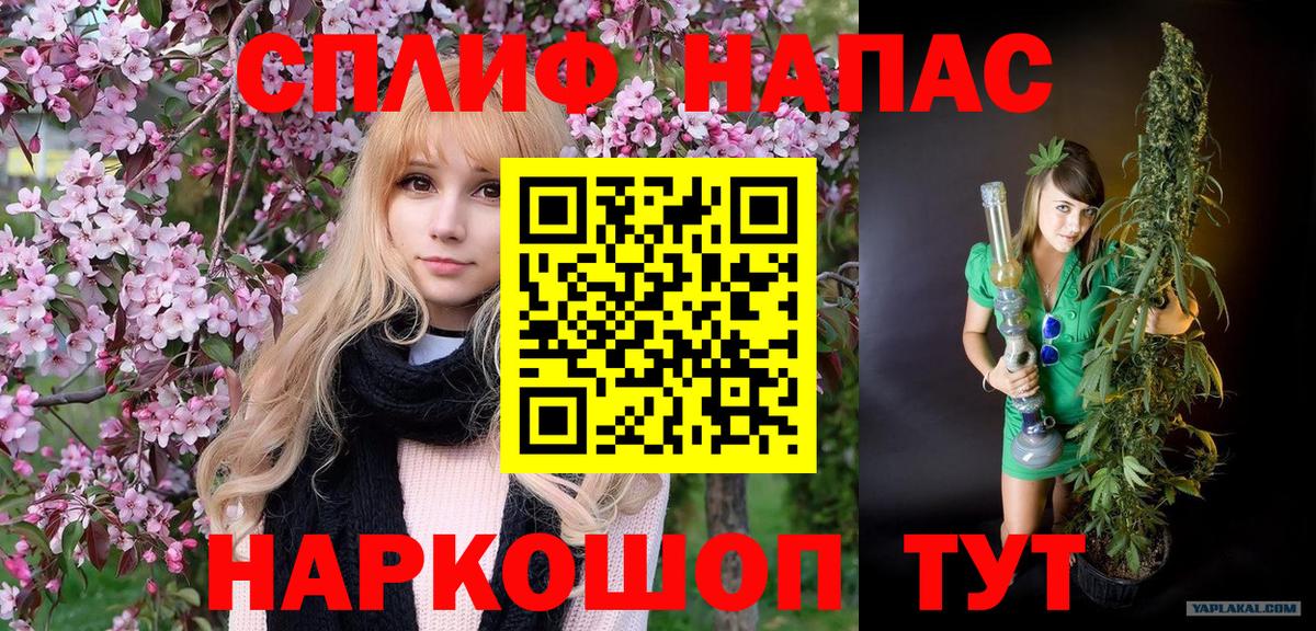 Пятигорск  Каннабис LSD WEED  Вход с VPN  Марихуана гибрид  Бошки марихуана White Widow  Каннабис VHQ 